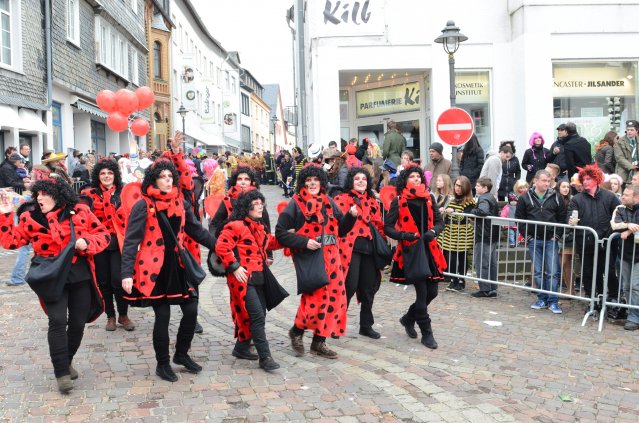 umzug simmern_140301_vb_158